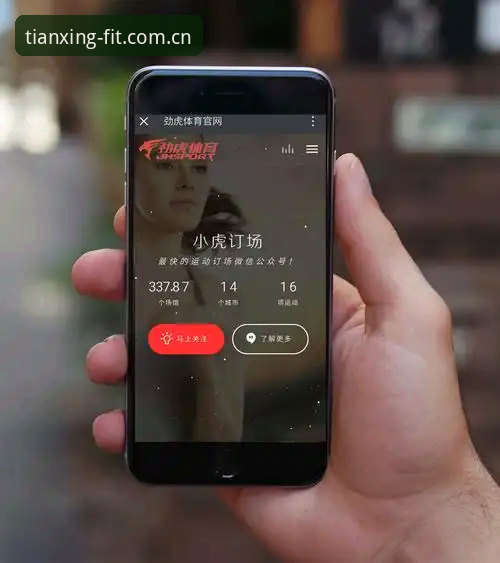 天行体育一站式安装失败 揭秘天行体育一站式安装失败背后的真相:原因分析与解决方案